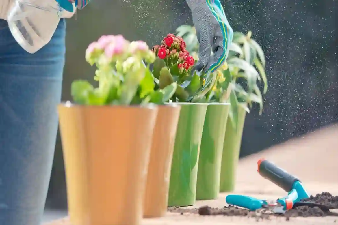 Jardim e Sabores 42 Contato e Quem Somos