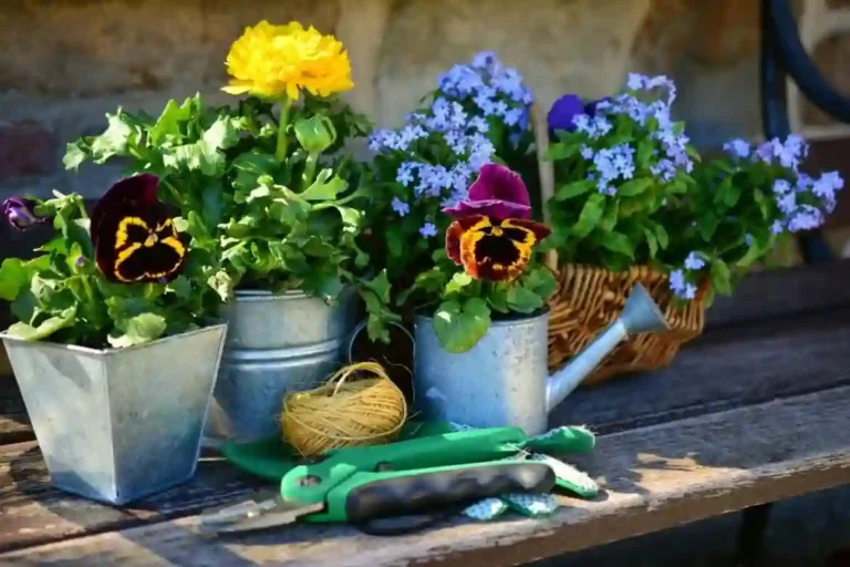 Plantar na Primavera