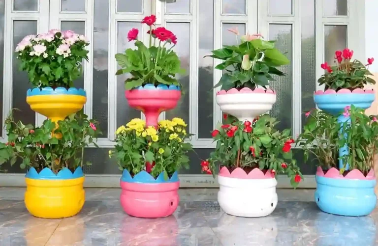 Como Plantar em Vasos