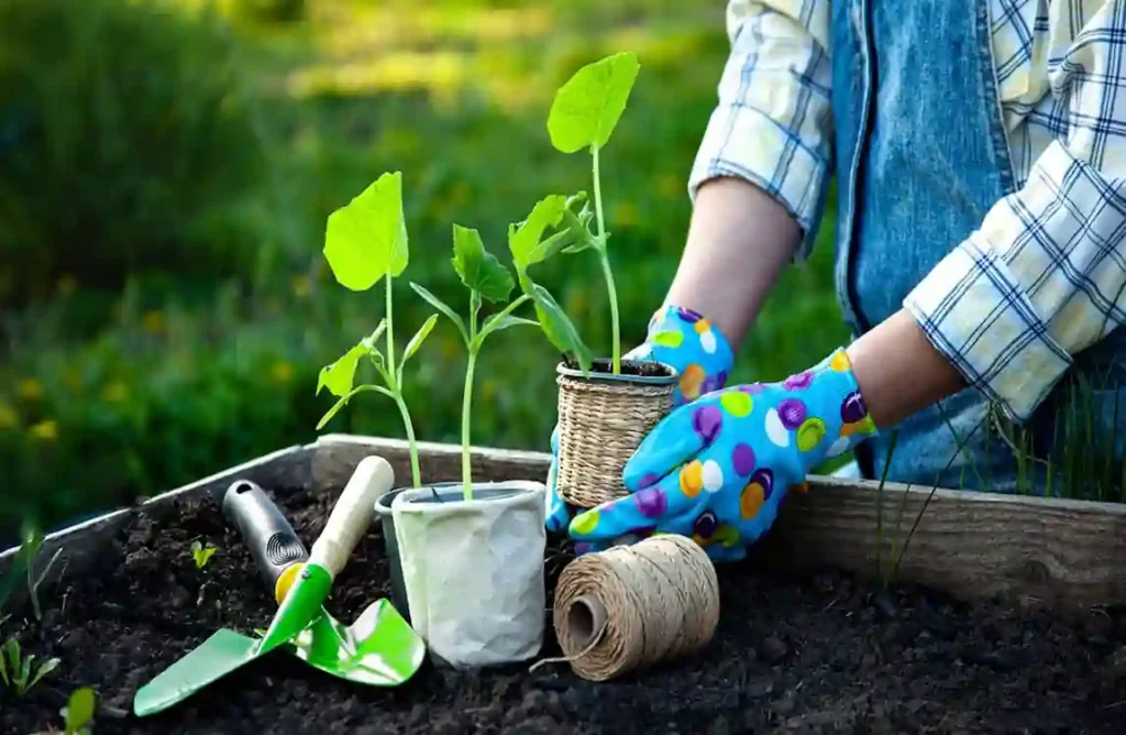 Jardinagem para Iniciantes: Comece Sua Horta Hoje! 3 Jardinagem para Iniciantes