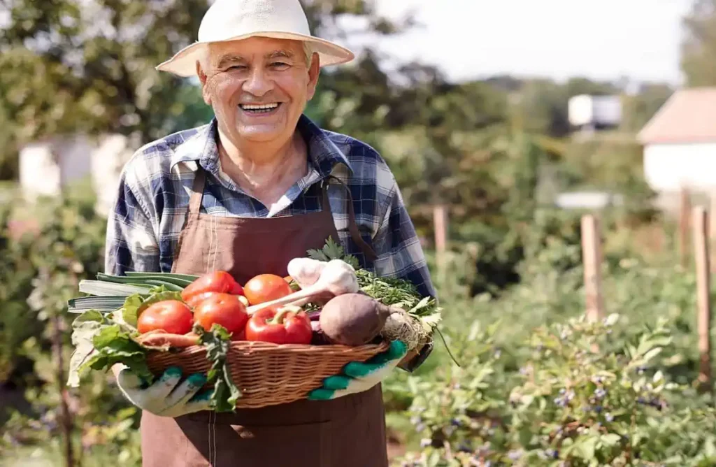 Como Montar uma Horta Caseira: O Guia Simples e Completo para Iniciantes 23 Como Montar uma Horta Caseira