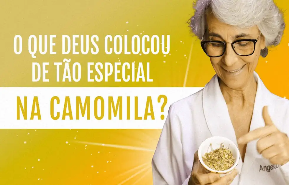 Chá de Camomila: muito além do calmante – guia completo sobre benefícios, usos e segurança 4 Chá de Camomila muito além do calmante