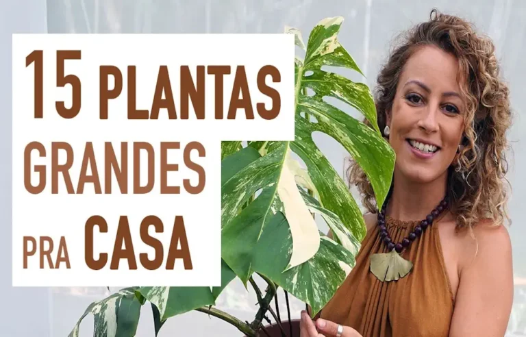 Plantas Grandes para Sala