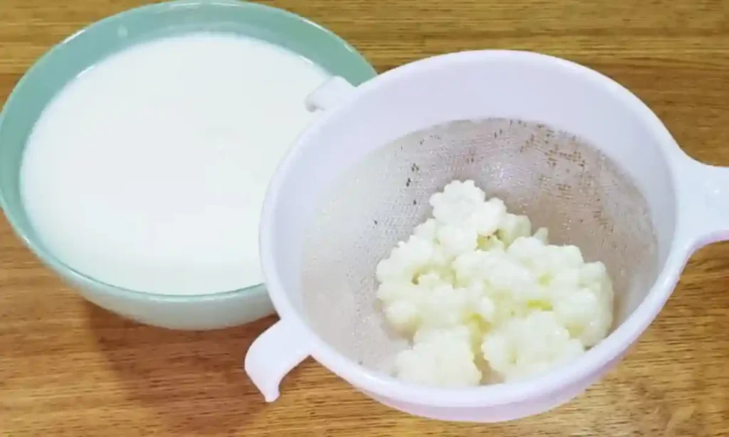 Como Fazer Kefir em Casa
