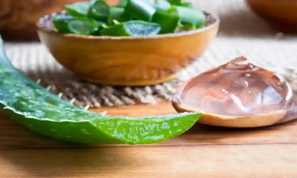 Gel de Aloe Vera Caseiro: Para Rosto e Cabelo Sem Manchas, Rugas ou Ressecamento 9 Gel de Aloe Vera Caseiro