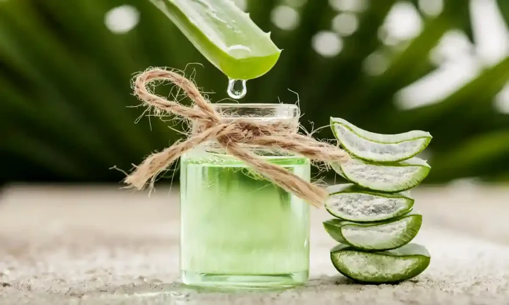 Suco de Babosa: 9 Dicas para Preparar, Consumir e Potencializar Seus Benefícios em Casa 38 Suco de Babosa 7 Dicas para Preparar