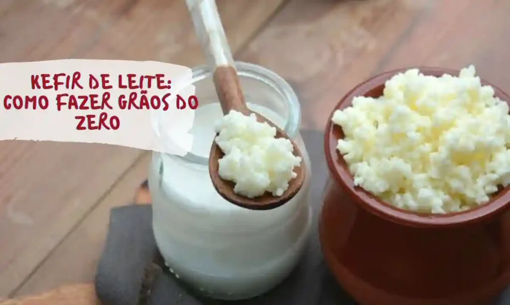 Do Leite ao Probiótico Vivo: Como Fazer Kefir de Leite do Zero (Sem Grãos!) 13 kefir de leite do zero