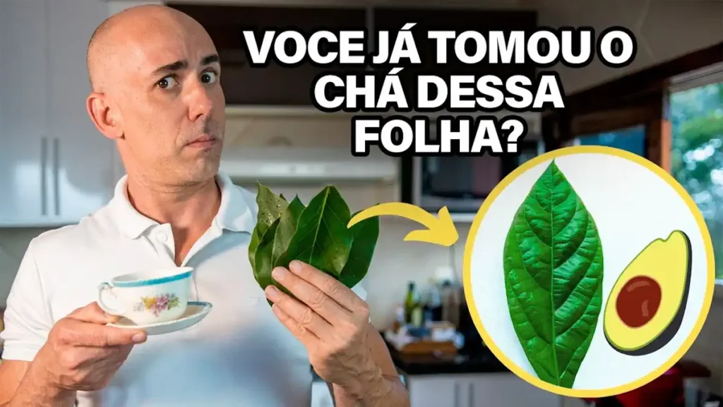 Chá da Folha de Abacate: Guia Completo dos Benefícios, Preparo e Cuidados 4 Chá da Folha de Abacate
